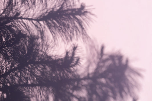 Melissa, Pinie, Minze, Wacholder: Soul Shower